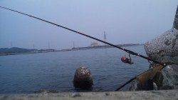 日高川河口に夕方の上げ潮狙いで釣行〜本命のチヌゲット♪