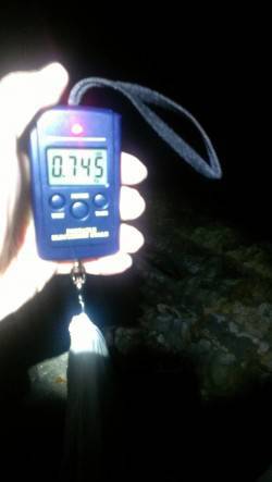 城ヶ崎でエギング〜2投目で745gのアオリ…