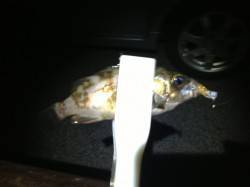 和歌山向きドラムにてメバリング〜アシストフ…