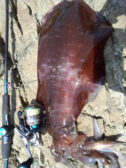 伊根でデイエギング〜ロングステイでモゾモゾ…