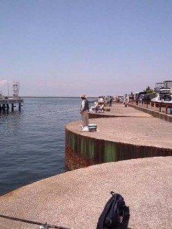 泉佐野　夕マズメ狙いもキス2＆スルメイカ1の釣果