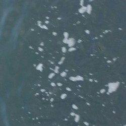 汐見埠頭エビ撒き〜1投目クジメ、2投目キビレと釣れるも・・・