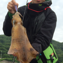 下津でエギング〜潮が動き始めた所で1400gのアオリイカ