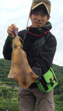 下津でエギング〜潮が動き始めた所で1400gのアオリイカ