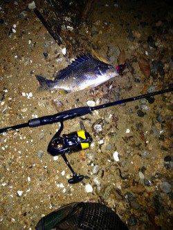 南芦屋浜　満潮からの下げ潮でのチニング