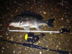 南芦屋浜　満潮からの下げ潮でのチニング