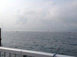 明石港　大サバ狙いも豆アジの釣果　ゴミは必ず片付けましょう