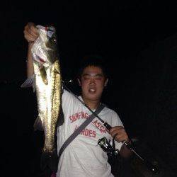 チニングでキビレ・チヌ・シーバスの釣果