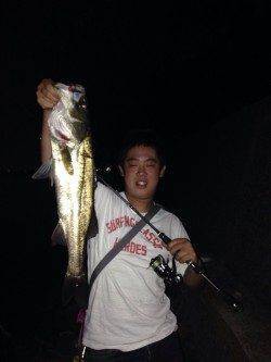 チニングでキビレ・チヌ・シーバスの釣果