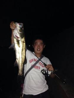 チニングでキビレ・チヌ・シーバスの釣果