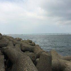 泉佐野 朝の4時~9時の釣行でガシラ&ソイ