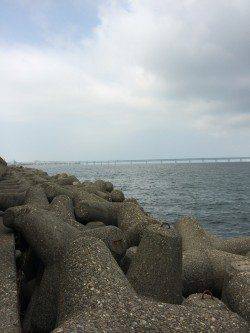 泉佐野 朝の4時~9時の釣行でガシラ&ソイ