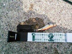 東白浜周辺でエギング、風裏探しに苦労しました！