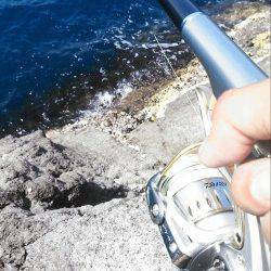 柴山にて楽しい沖磯釣行〜フカセでグレ・ヒラマサ・チヌ