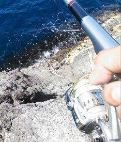 柴山にて楽しい沖磯釣行〜フカセでグレ・ヒラマサ・チヌ