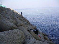 りんくう　ジグサビキにアジのアタリ