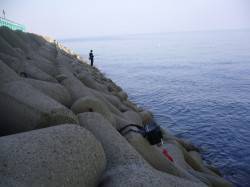 りんくう　ジグサビキにアジのアタリ