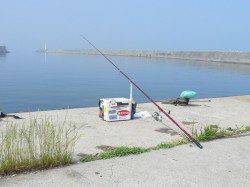 鳥飼 7時からの投げ釣りでキス狙い☆