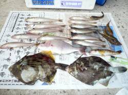 鳥飼　７時からの投げ釣りでキス狙い☆