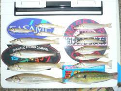 午後から洲本港にて投げ釣り〜キスの釣果