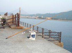 午後から洲本港にて投げ釣り〜キスの釣果