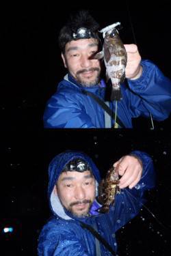 舞洲　雨中のチニングで4目達成☆