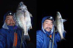 舞洲　雨中のチニングで4目達成☆