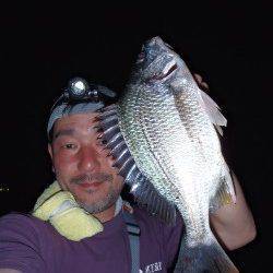 夏の夕涼みにはお手軽チニングが最高♪　大阪南港でキビレゲーム