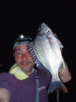 夏の夕涼みにはお手軽チニングが最高♪　大阪南港でキビレゲーム