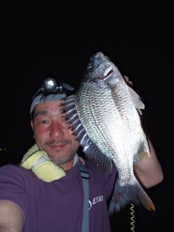 夏の夕涼みにはお手軽チニングが最高♪　大阪…