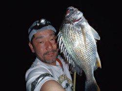 大阪湾奥 キビレ 絶好調です！