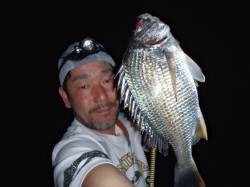 大阪湾奥 キビレ 絶好調です！