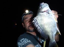 大阪南港周辺チニング〜小さいながらもキビレ…