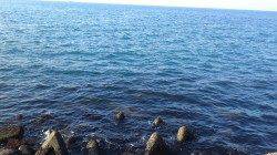 谷川周辺でメバル調査　活性は低かったようです…