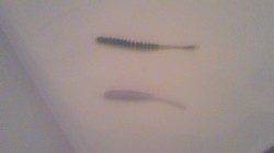 小島でアジング・メバリング〜ブレイク沖側を攻めラインブレイク・・・