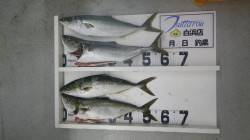 白浜にてトップでメジロ４本！ ハリ伸びまし…