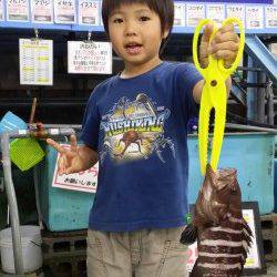 芳養漁港　ブラクリでマハタ25cm！