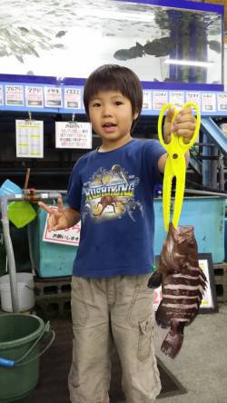 芳養漁港　ブラクリでマハタ25cm！