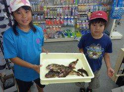 みなべ堺にて紀州釣りでグレの釣果