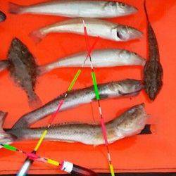 エビ撒きとチョイ投げ二刀流で七目達成、楽しめました♪