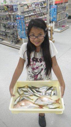 お子様のカゴ・サビキ釣りの釣果