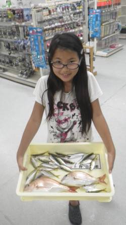 お子様のカゴ・サビキ釣りの釣果