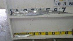 田辺芳養（はや）堤防でタチウオ90cm&丸アジ31cm