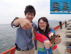 平磯海づり公園 胴突仕掛けでアイナメ・ベラ