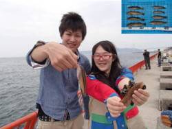 平磯海づり公園 胴突仕掛けでアイナメ・ベラ…