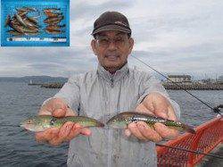 投げ釣りでベラの数釣り 平磯海づり公園
