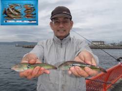 投げ釣りでベラの数釣り 平磯海づり公園