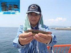 平磯海づり公園、投げ釣りでベラにアイナメ