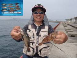 平磯海づり公園 ウキ釣りと落とし込みでメバ…