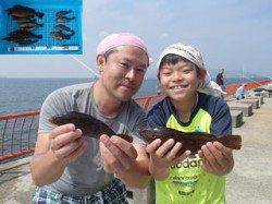 平磯海釣り公園　落とし込みでアイナメ＆ガシラ